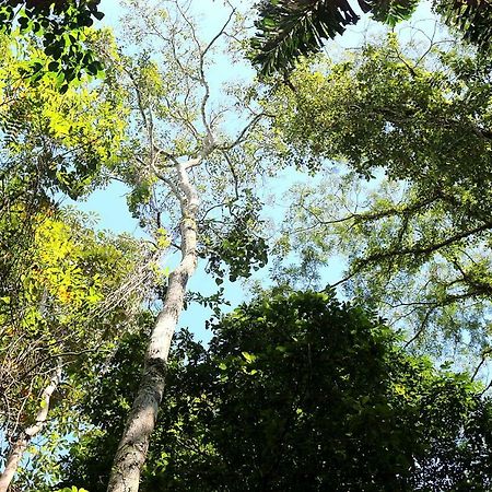 Misahualli Amazon Lodge Тена Екстер'єр фото