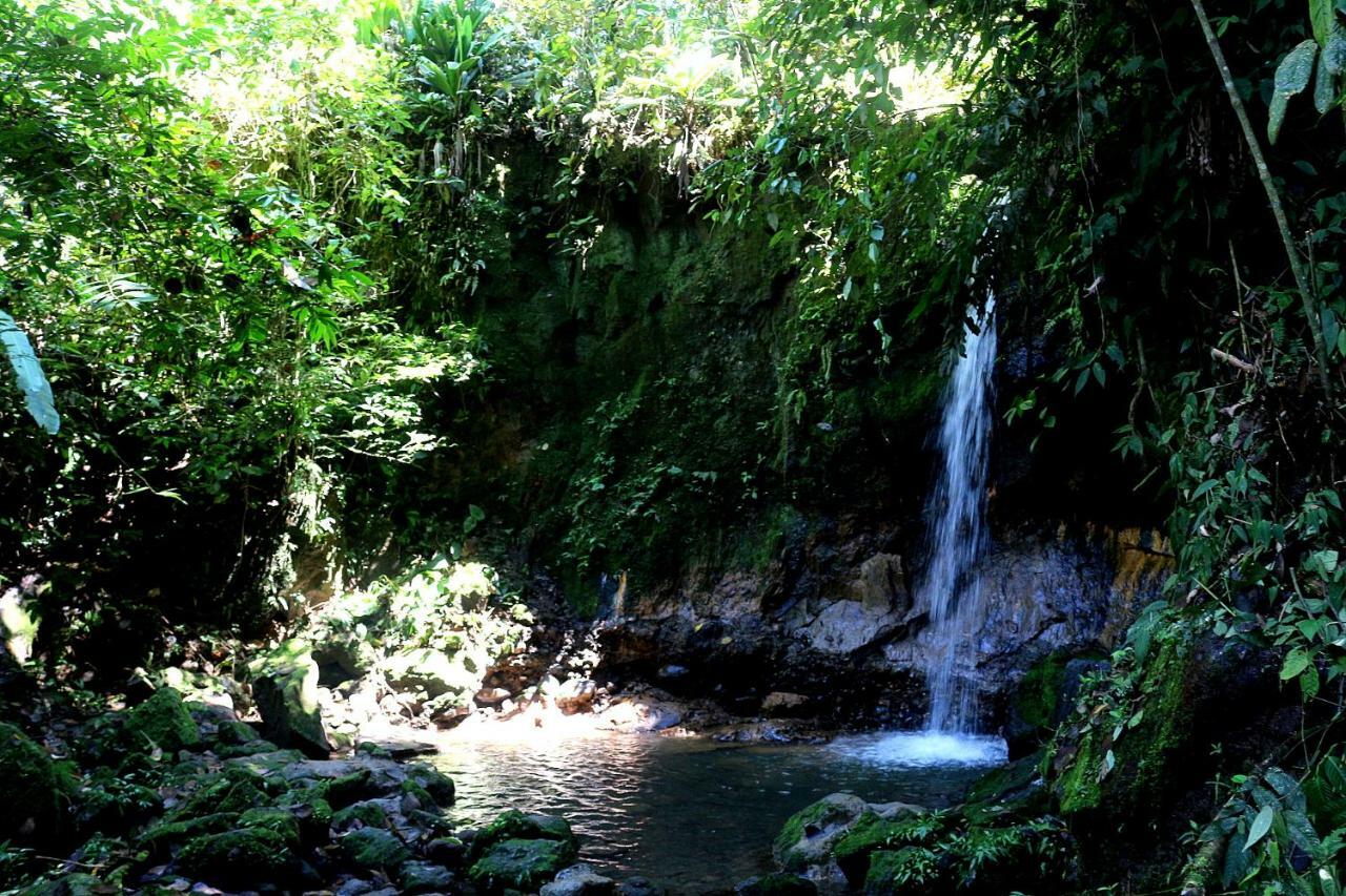 Misahualli Amazon Lodge Тена Екстер'єр фото